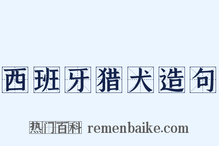 西班牙猎犬造句是什么意思的图片